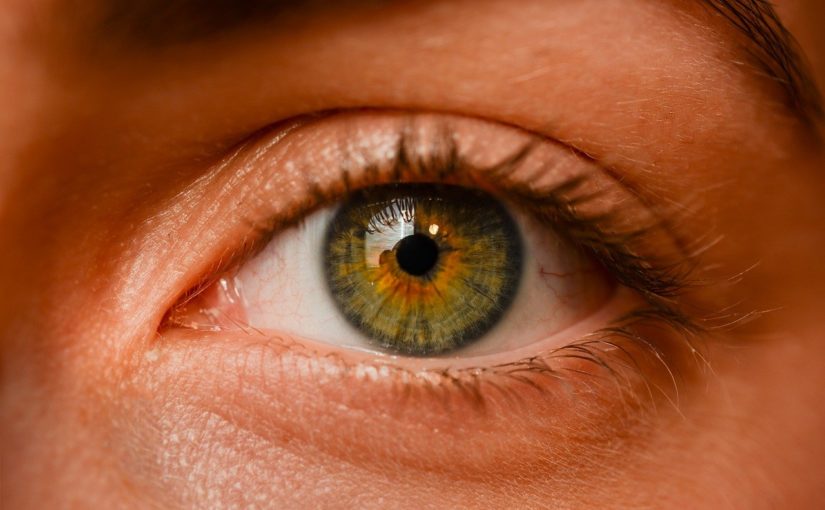Oczy to wyrafinowany organ. To właśnie dzięki nim doświadczamy.